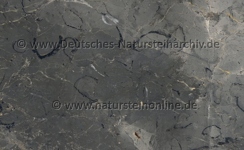 Bild von Stein 'FARSALA GREY'