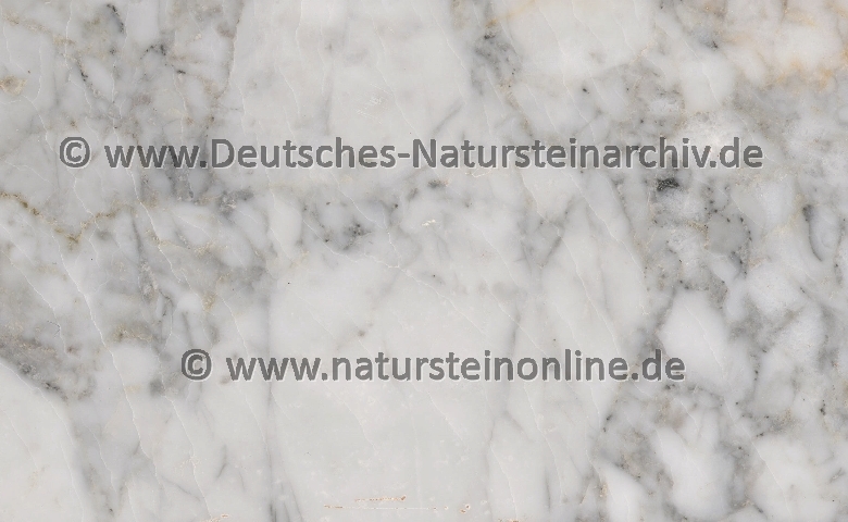 Bild von Stein 'SIENA GRIGIO'