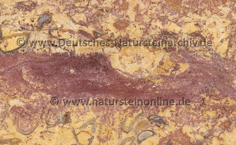 Bild von Stein 'TORTOSA BROCATELLO'