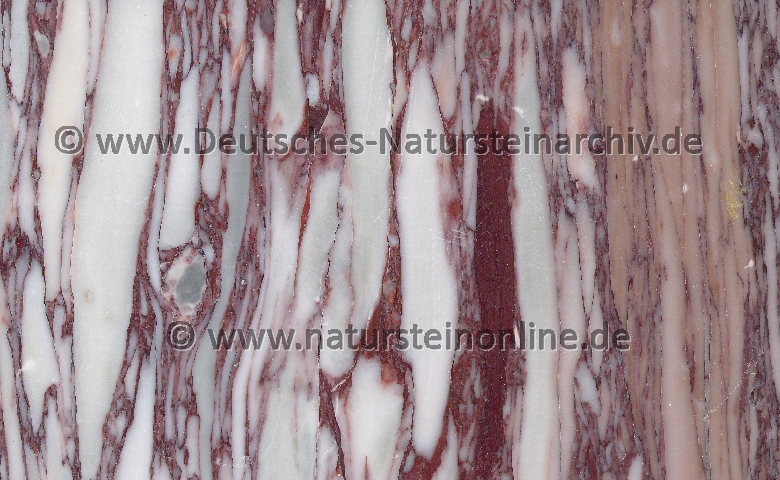 Bild von Stein 'BRECCIA CORCHIA'