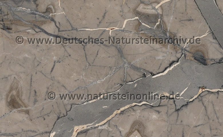 Bild von Stein 'SIENA GRIGIO AZURRO'