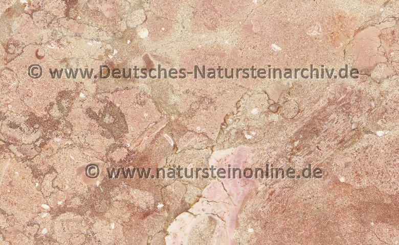 Bild von Stein 'BOUQUET CAMPINA'