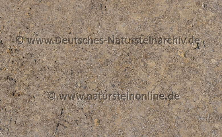 Bild von Stein 'MÜNCHERODE'