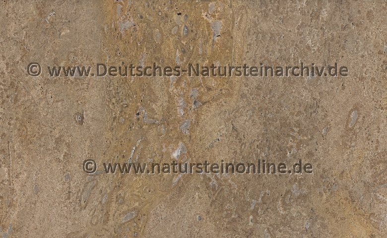 Bild von Stein 'TRAVERTINO GRECO'