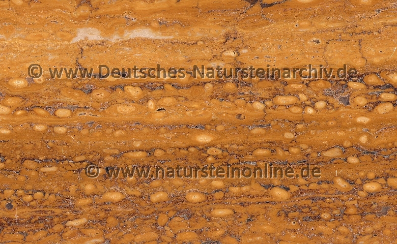 Bild von Stein 'TRAVERTIN DU MAROC'