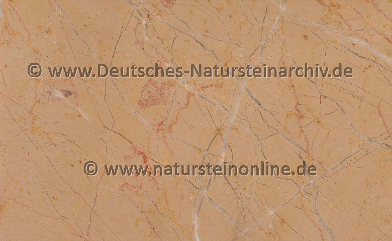 Bild von Stein 'ALPININA ATLANTIDA'