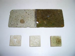 Tuff-Muster, das ein Jahr im Außenbereich lag: (l.) behandelt mit wasserabweisendem Schutz, (r.) unbehandelt mit Grünbewuchs