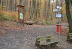 Laut BIV sind Urnenwälder neben Wanderpfaden und Nordic Walking Routen sind keine Alternative zu den geschützten Räumen der Trauer auf Friedhöfen. (Foto: BIV Steinmetze)