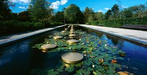 In einem Wasserbecken fassen goldene Behältnisse je vier Urnen. Sie scheinen dort zu schwimmen. Am Rand des Beckens kann man Schrifttafeln mit Namen ablegen. (Foto: karres+brands Landschapsarchitecten BV, NL-Hilversum)