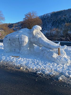 Das Schneemammut wurde schnell zum beliebten Fotomotiv.