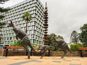 Das Schweizer Projekt Kookaburra Australia