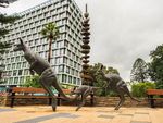Das Schweizer Projekt Kookaburra Australia